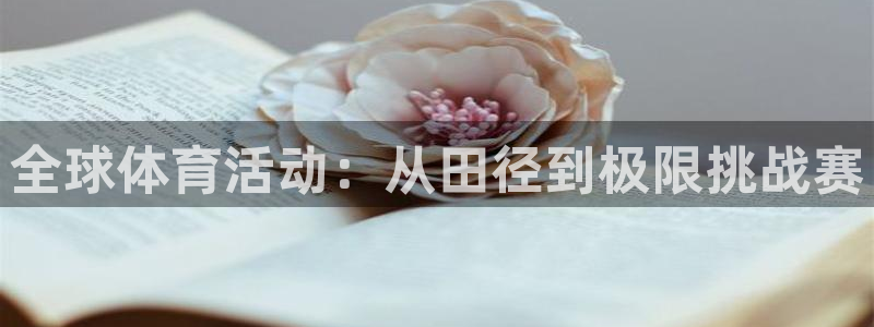 全球体育活动：从田径到极限挑战赛
